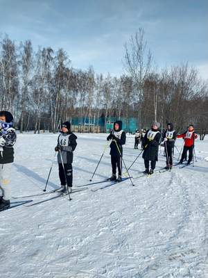 лыжные гонки